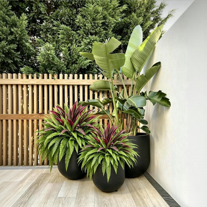 💥 BUY 1 GET 1 FREE (2 PCS) 🔥 UV-Resistant Artificial Fern & Red Dracaena Decorative Plants – Full, Lush & Fade-Resistant!