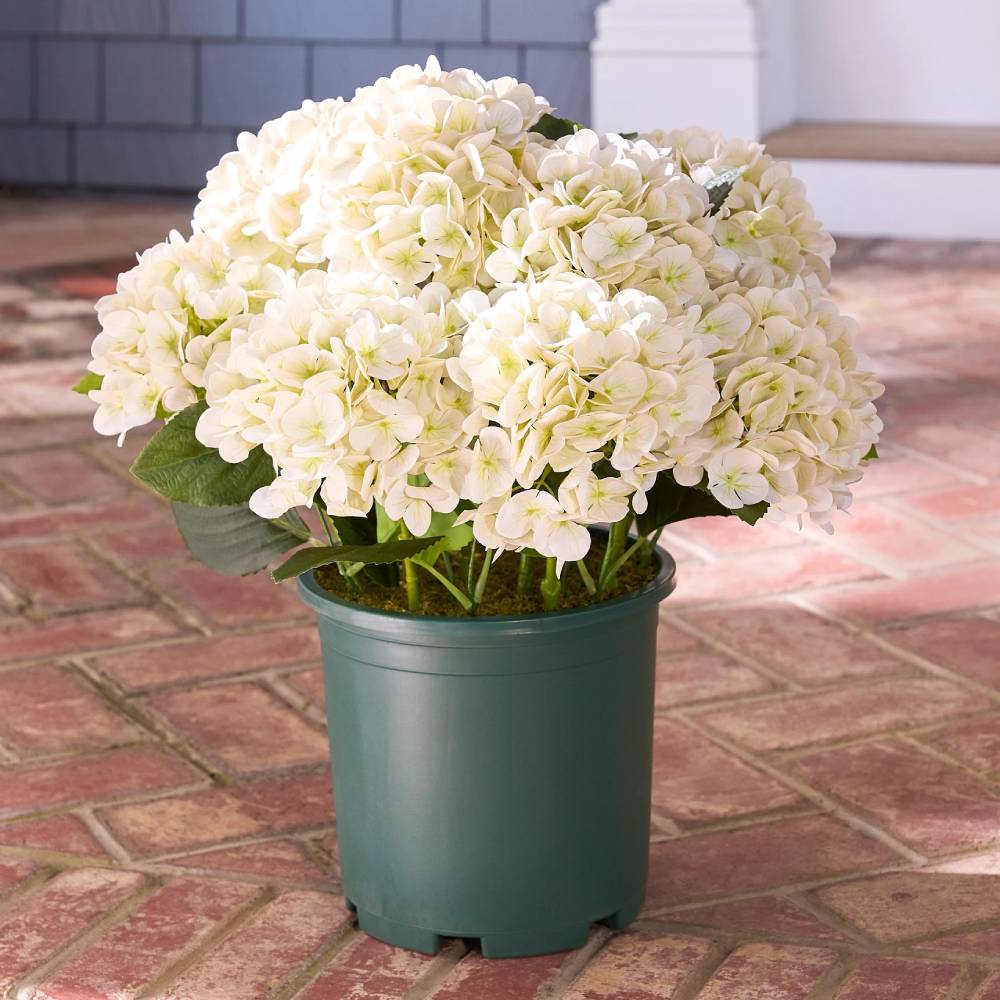 💥Last Day 70% OFF💐Artificial Outdoor Hydrangea Flowers - UV resistant, Waterproof, Windproof