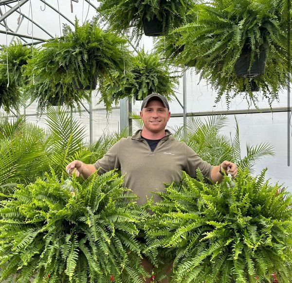 💥BUY 1 GET 1 FREE (2 PCS)🔥48Inch Large UV Artificial Ferns for Outdoors--No watering, No fading