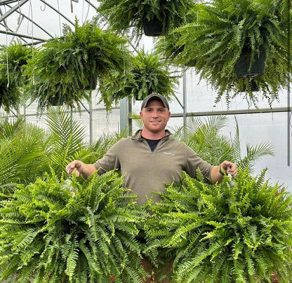 💥BUY 1 GET 1 FREE (2 PCS)🔥48Inch Large UV Artificial Ferns for Outdoors--No watering, No fading