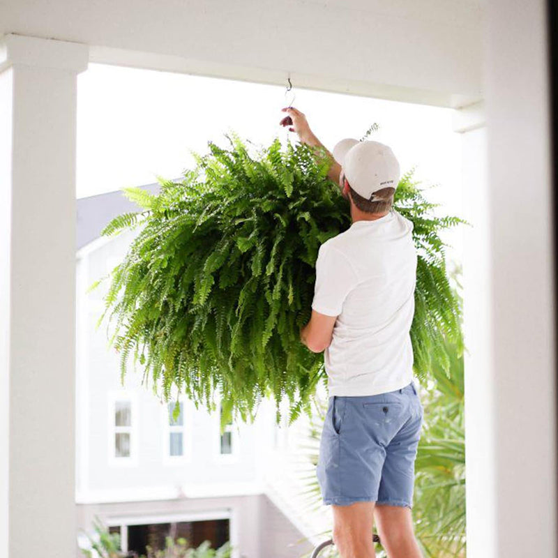 💥BUY 1 GET 1 FREE (2 PCS)🔥48Inch Large UV Artificial Ferns for Outdoors--No watering, No fading