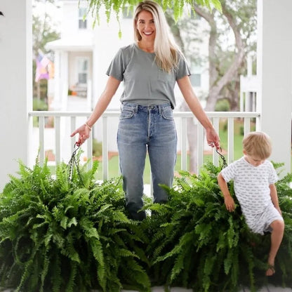 💥BUY 1 GET 1 FREE (2 PCS)🔥48Inch Large UV Artificial Ferns for Outdoors--No watering, No fading